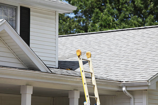 Best Shed Removal  in West Dennis, MA